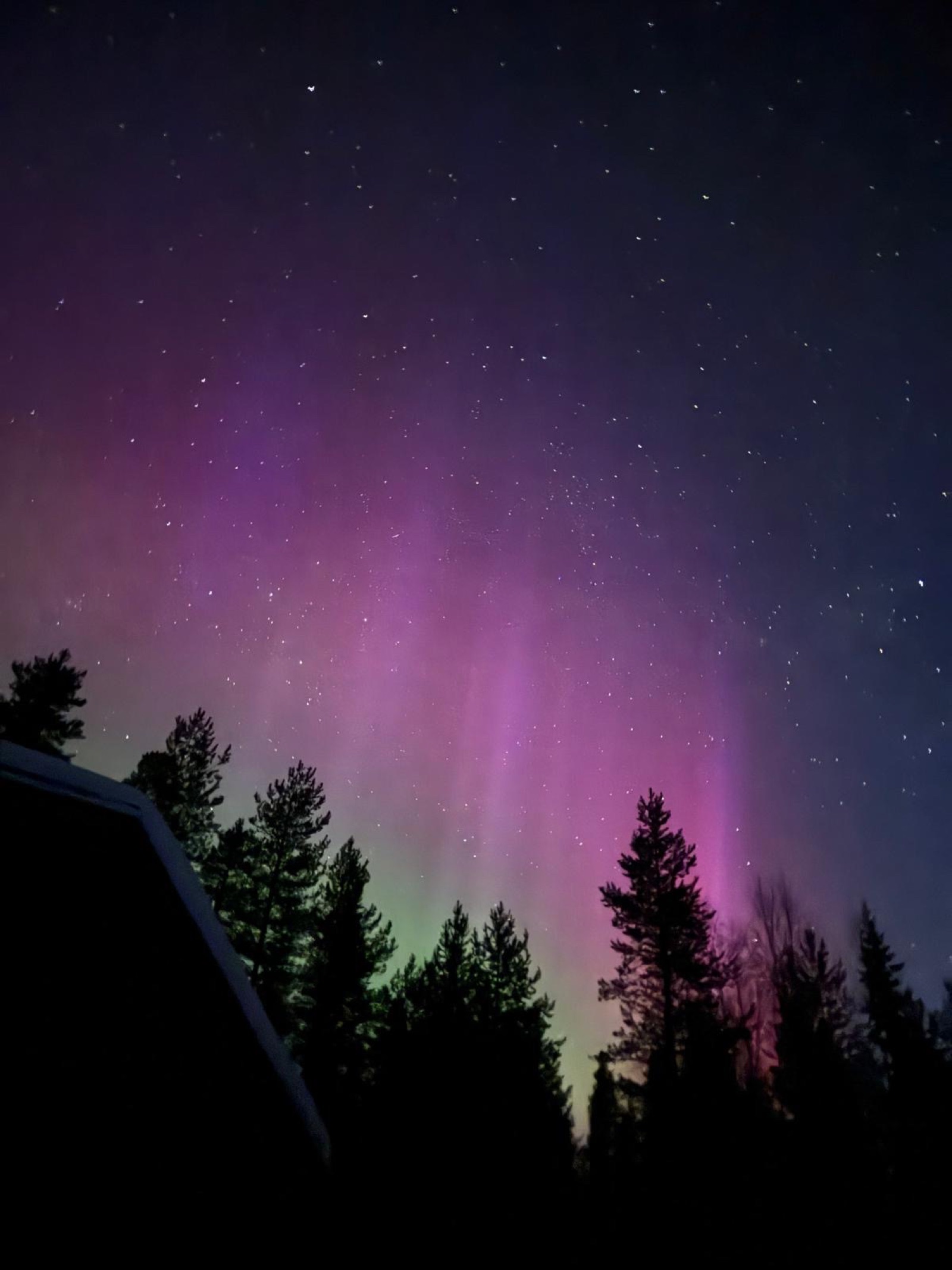 Aurora borealis purple pink Finland Ruka night sky