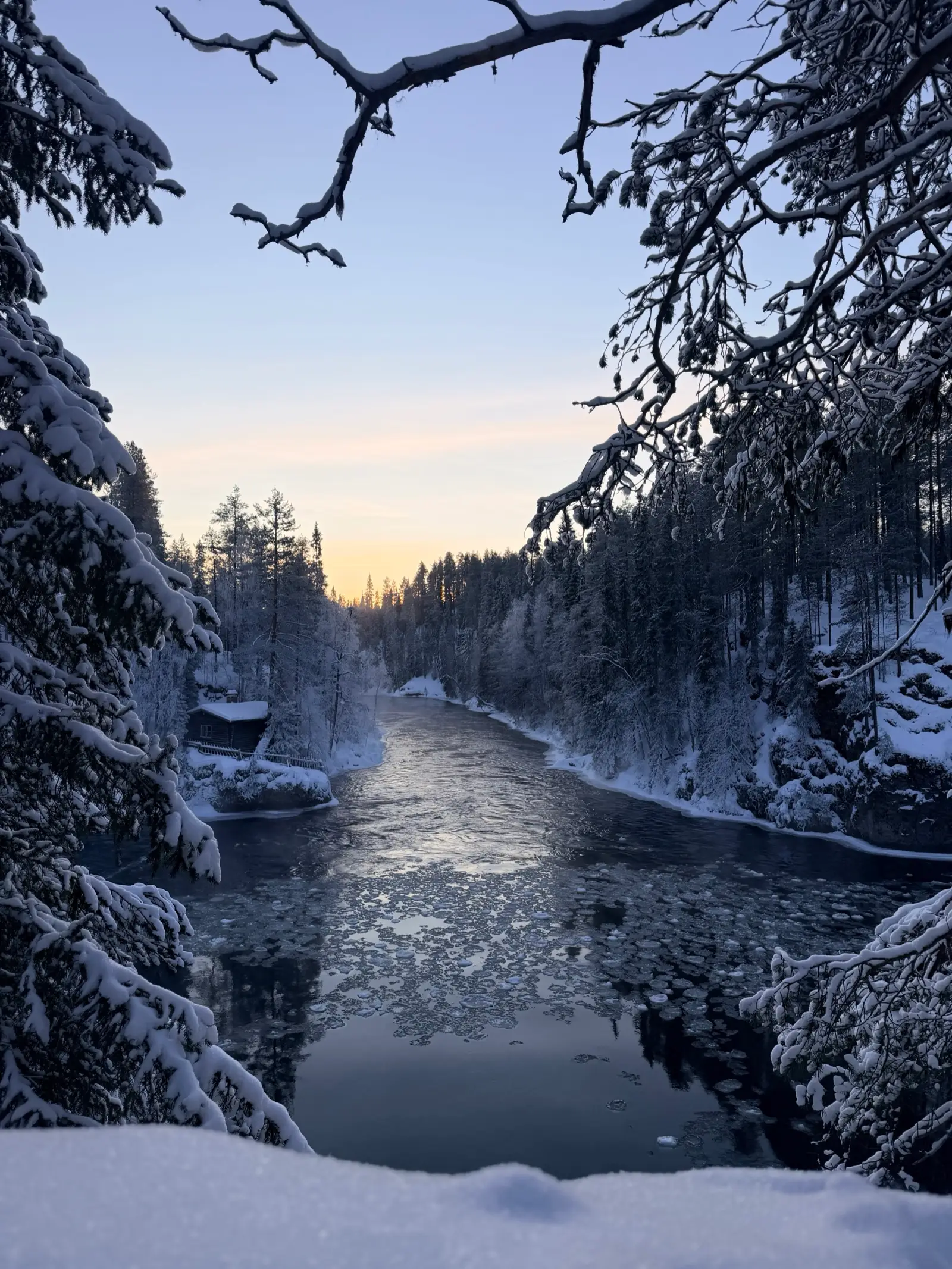 Snowy winter forest and frozen river in Oulanka National Park Kuusamo