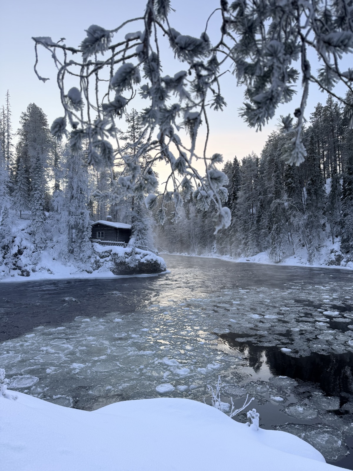 Ruka & Kuusamo nach Saariselkä & Ivalo: Privattransfer-Guide